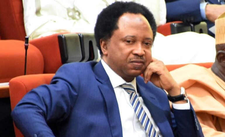 ‘Hell no’ — Atiku’s aide slams Shehu Sani over comment on ADC court victory