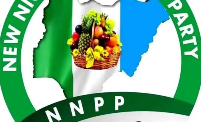 2027: Stop Blaming President For Personal Acts Of Some Governors, APC Members – NNPP
