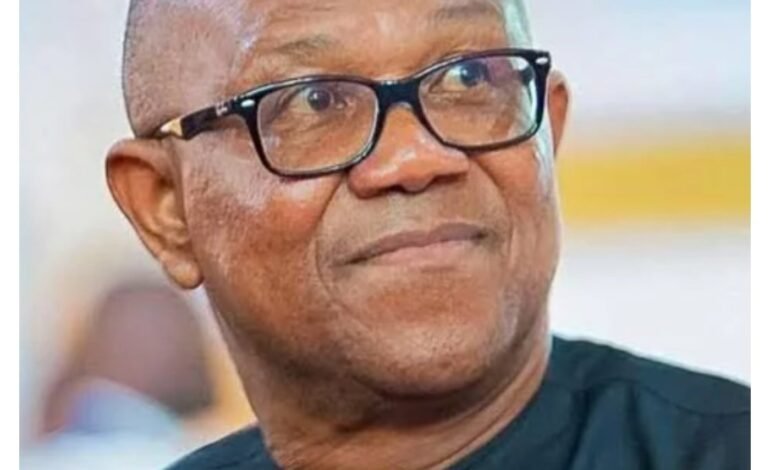 2027: I can fix Nigeria, my Anambra record speaks – Peter Obi replies Datti