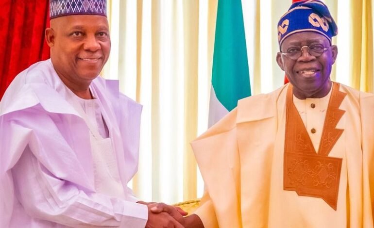 Tinubu Commends Shettima For Years Of Dedicated Service At 60