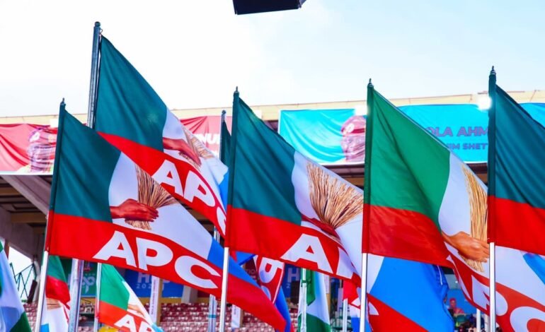Ex-NPA MD, Dabo Resigns From APC 