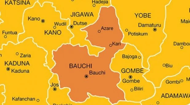 Police arrest two over deaths of minors in Bauchi